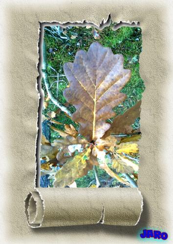 Autumn - Autumn in Poland