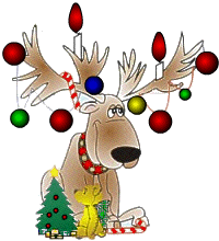 Christmas lite - How I am feeling with Christmas Lights!!