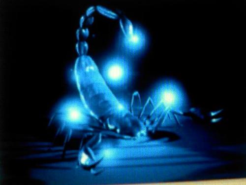 scorpio - my sign