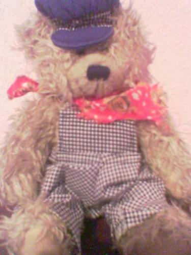 Teddy - Teddy Bear