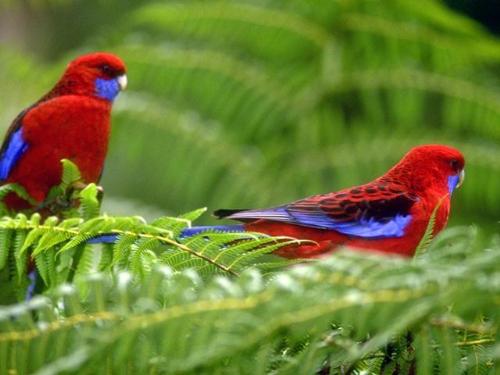 Friendship remains only if there is equal response - The one who never cares for us why should we?