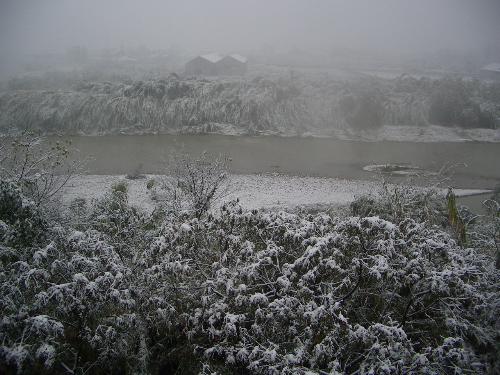 a picture of snow taken by me - From the picture, you can see the small river as well as its plants along the river is covered with silver snow.