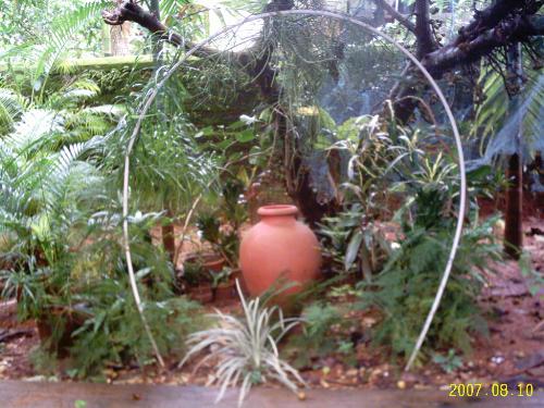 Landscape - This is one portion of my landscaped garden