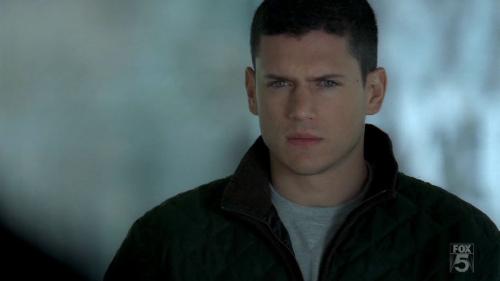 Wentworth Miller in Prison Break - I love Wentworth Miller in Prison Break, It's a great Siries I ever seen, This is the best siries in the world, I also admire the Director of this siries, I love it, but so sad on the end that Michael Scofield is died :(