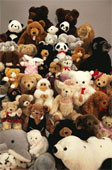 your opinion about which animal is most intelligen - what do you feel about the animals...intelligent....