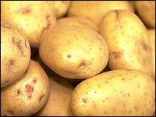 fresh potatoes - potato! potato! and lots of potato