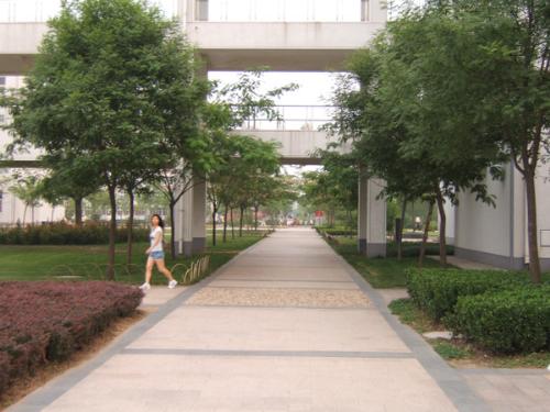 campus - our campus,quiet and graceful,studied in there four years,it's our second-home