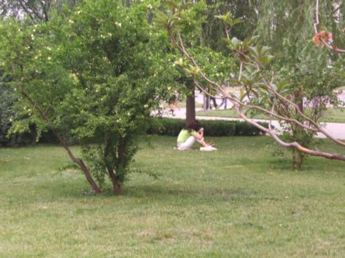 friends - a cute girl in ourf campus