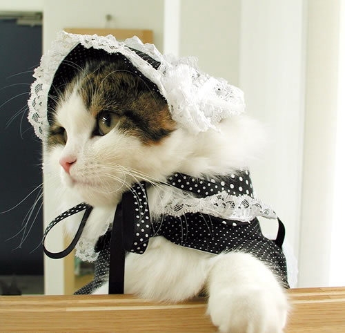 i'm miss... - i'm so beautiful