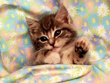 this is my bad - let me sleep