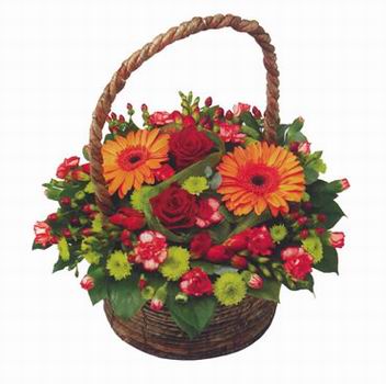 flowers - beautiful flowers