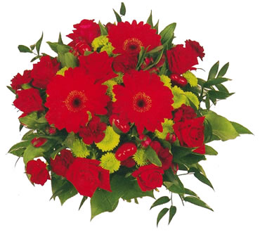 flowers - beautiful flowers