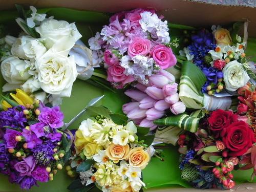 flowers - nice flowers