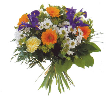 flowers - nice flowers