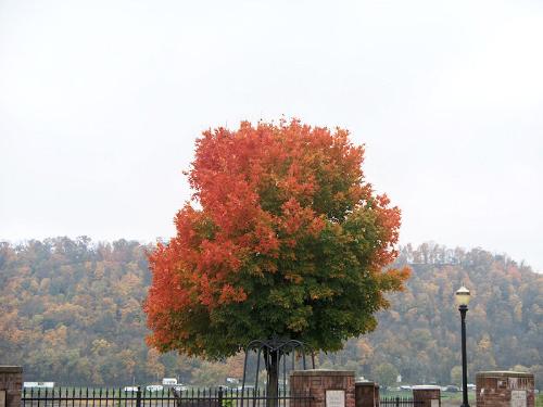 Fall Photos - Indiana fall photos 2009