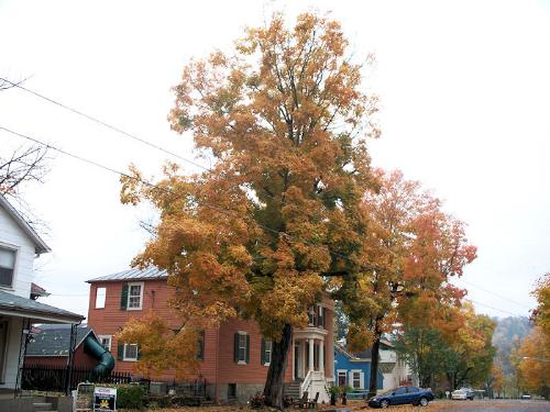Fall Photos - Indiana fall photos 2009