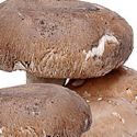 mushroom - is a must