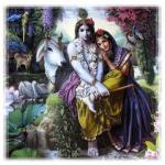 Interested in studying the life history of RadhaKr - As the life of Radhakrishna is a big history.....
