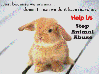 Stop Animal Abuse - Abusing Animals is a Crime!!