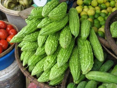 Bitter Gourd - An excellent hybrid variety of Bitter Gourd