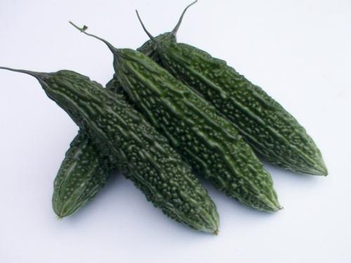 Bitter Gourd - An excellent hybrid variety of Bitter Gourd