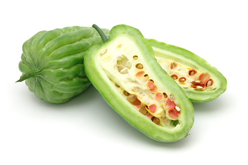 Bitter Gourd - An excellent hybrid variety of Bitter Gourd