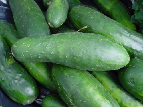 Cucumber - It is a green colur Cucumber.Cucumbers are a relativelygood source of vitamin C.