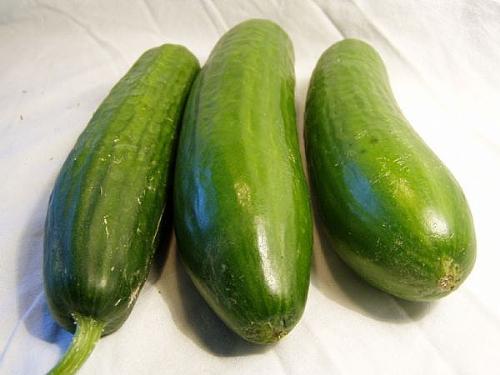 Cucumber - It is a green colur cucumber.It is a good fruit of health.It has good source of vitamin c.