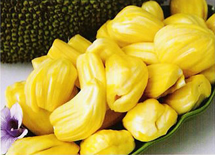 Jackfruit - It is a good fruit for health.