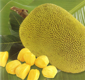 Jackfruit - Jackfruit taste like honey.It is a good fruit for health.