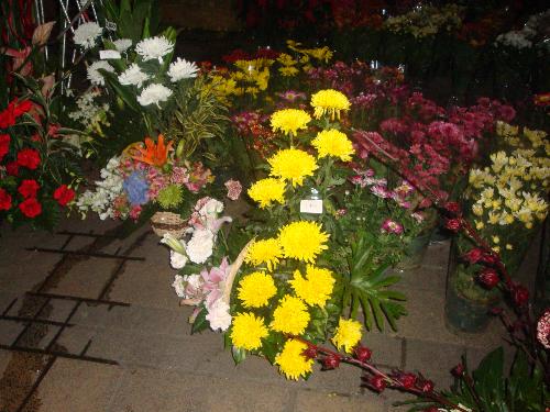 flowers for you - flower arrangements...