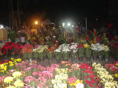 flowers for you - flower arrangements...
