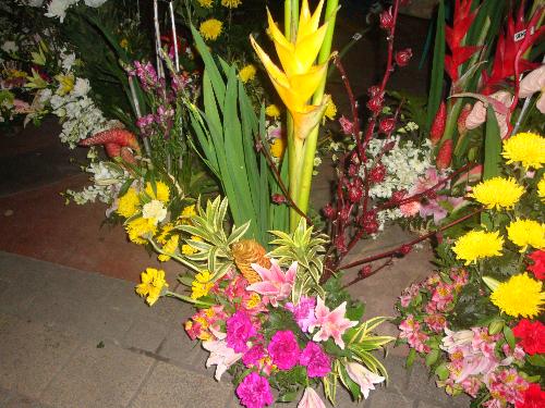 flowers for you - flower arrangements...