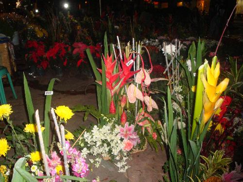 flowers for you - flower arrangements...