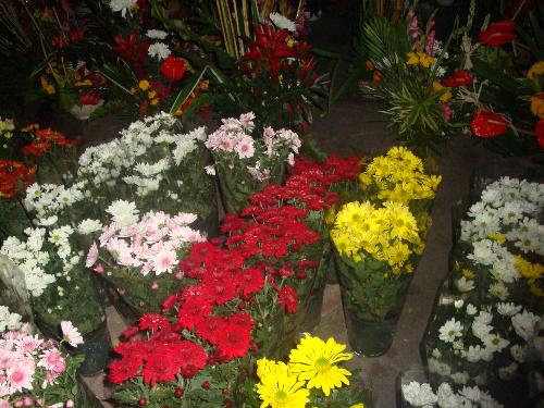 flowers for you - flower arrangements...