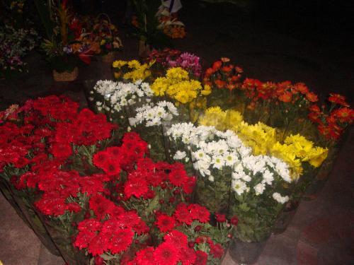 flowers for you - flower arrangements...