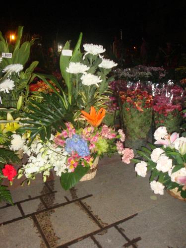 flowers for you - flower arrangements...