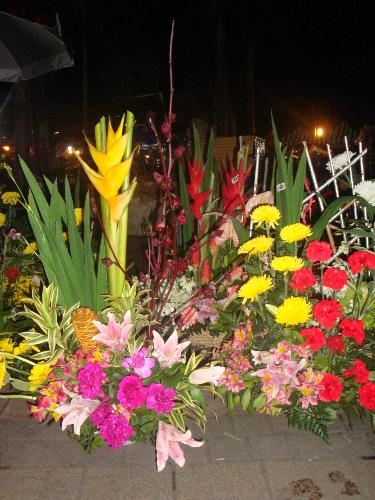 flowers for you - flower arrangements...