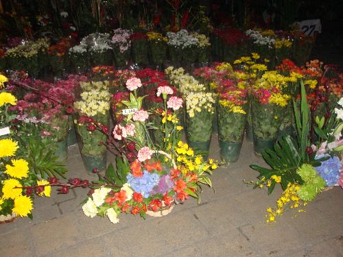 flowers for you - flower arrangements...