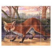 fox - animal