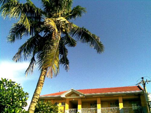 Bluesskies on top - Its so nice to see the skies in blue. Thank god for this gift