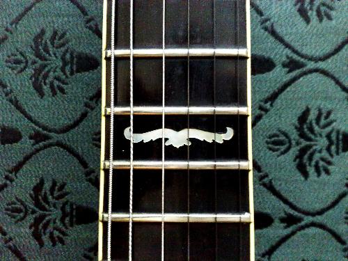 black - black guitar cords with a design of pearl white. It looks like a bird :)