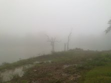 very misty - very misty,this is very nice place enjoy the climate.