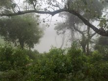 beauty of nature - took this still in the hill station(tamilnadu)