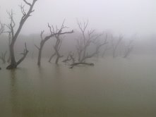 Lake view - lake view with mist so pleasant to watch.