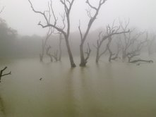 Another lake view - lake pic,how pleasent to watch these photos right?