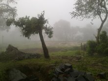 nature  - place in tamilnadu