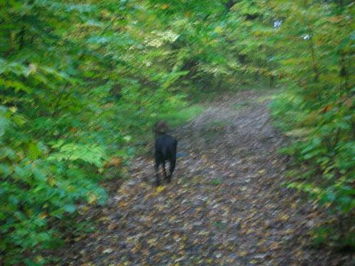 Out Hiking - This was taken in the Havelock area.