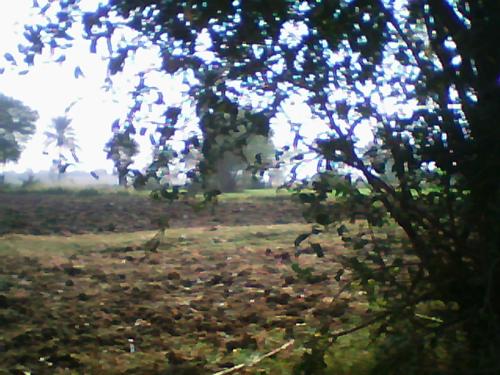 loking someone behid the tree - it is a pluser movment when you know that someone looking you bhind the tree.