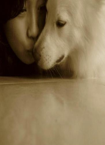 we love each other - we officially love each other...